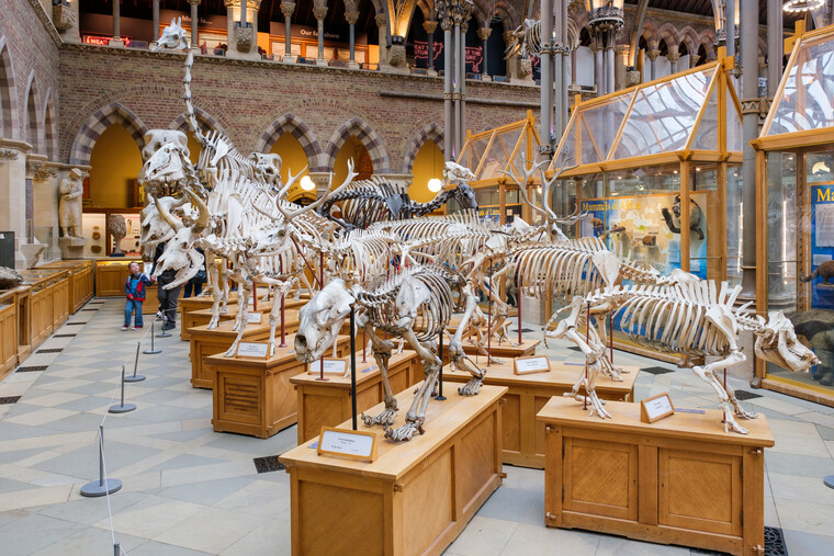 UK May '22 - Oxford 026.jpg